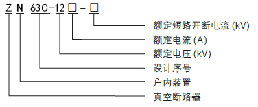 ZN63CVS1-12.jpg